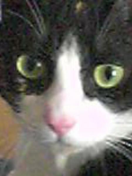 ma ninette d'amour!!